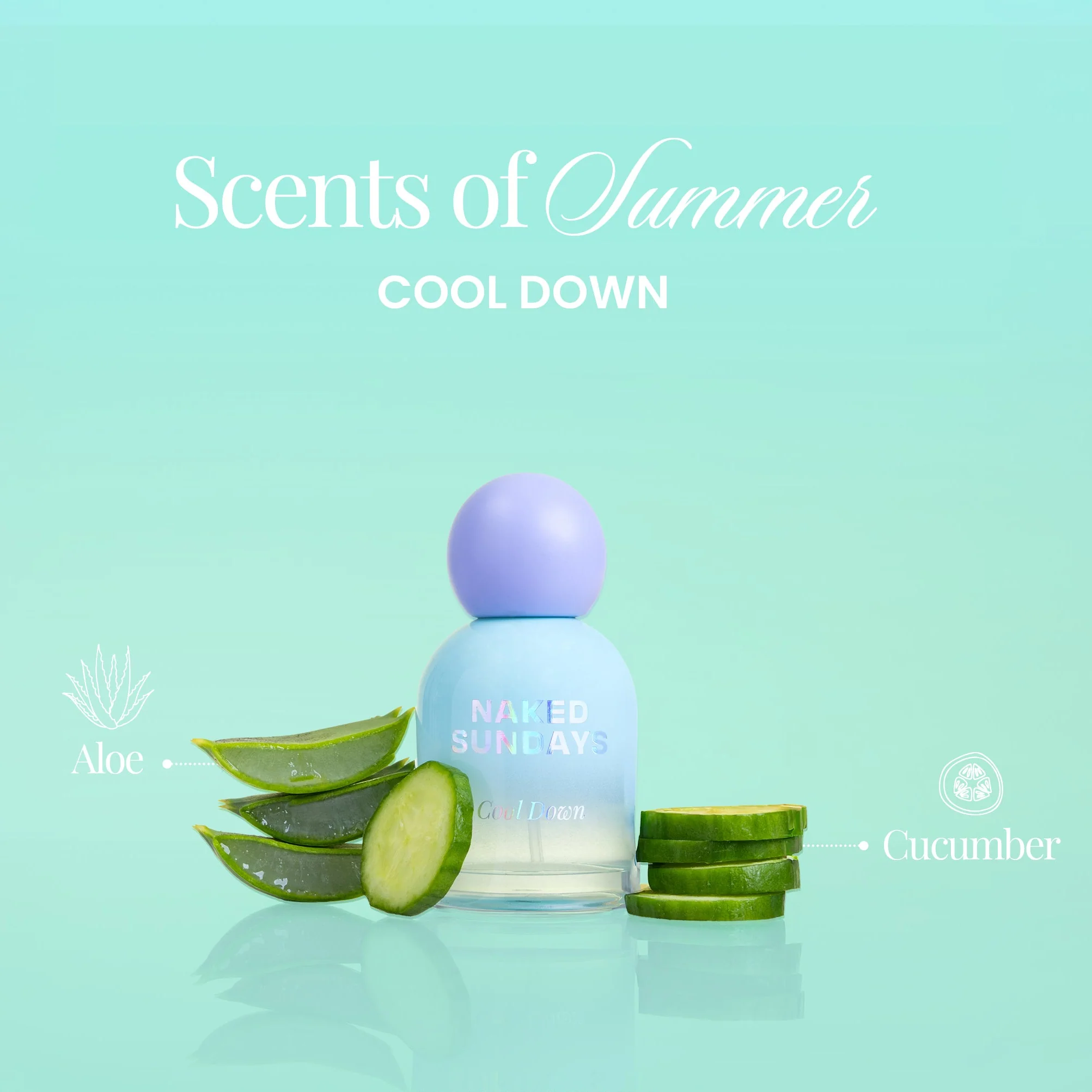 Vacay Fragrance Bundle (All 3 for the price of 2!) - Image 6