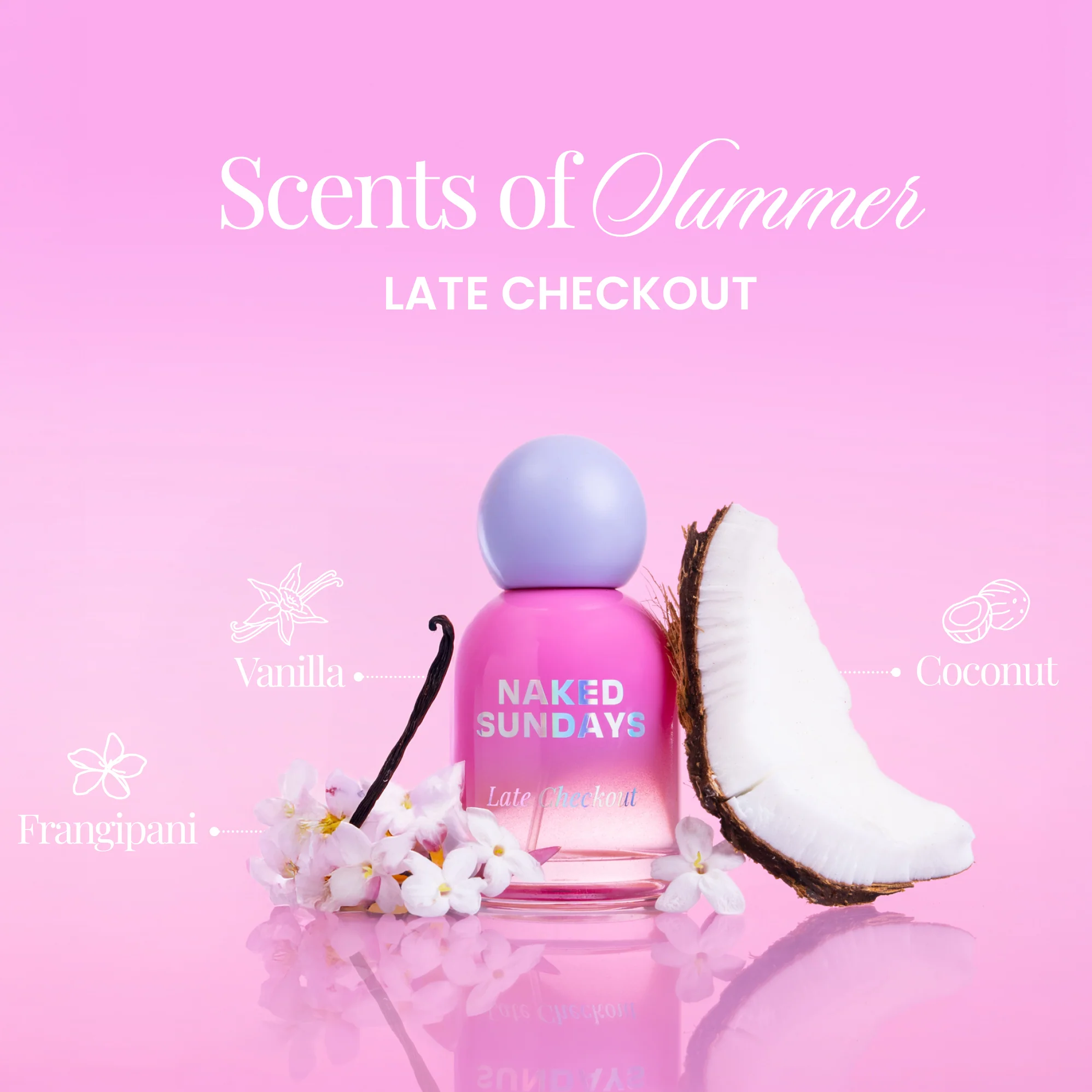 Vacay Fragrance Bundle (All 3 for the price of 2!) - Image 4